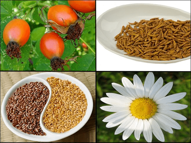 Cystitis herbs